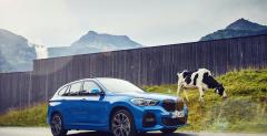 BMW X2 xDrive 25e