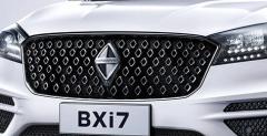 Borgward BX6 i BXi7