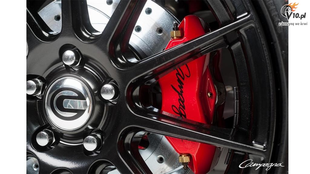 Campagna T-Rex 20th Anniversary