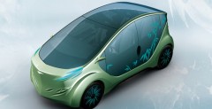 IAT-Auto Bamboo Wind