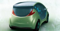 IAT-Auto Bamboo Wind