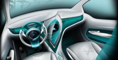 IAT-Auto Bamboo Wind