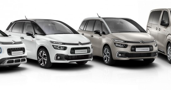 Citroen C3 Aircross Rip Curl