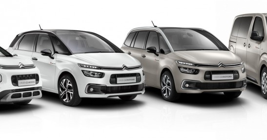 Citroen C3 Aircross Rip Curl