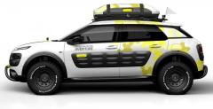 Citroen C4 Cactus Aventure