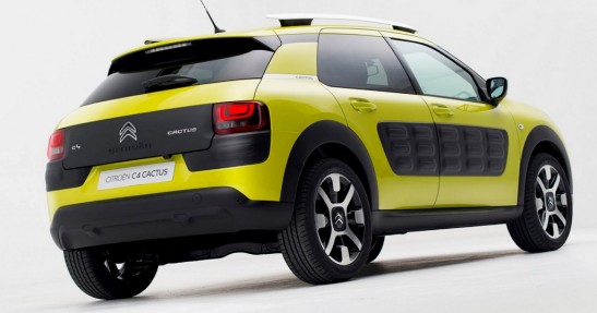 Citreon C4 Cactus