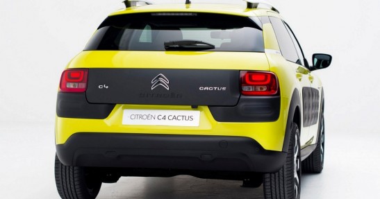 Citreon C4 Cactus