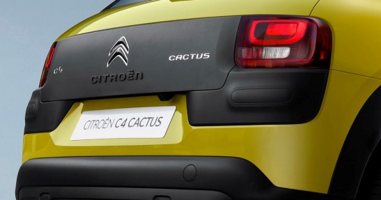 Citreon C4 Cactus