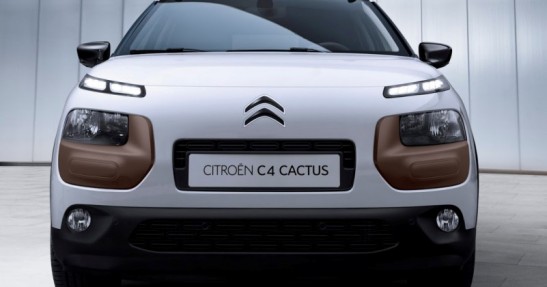 Citreon C4 Cactus
