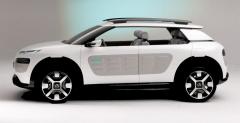 Citroen Cactus Concept