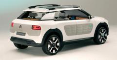 Citroen Cactus Concept