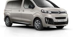 Citroen SpaceTourer Rip Curl