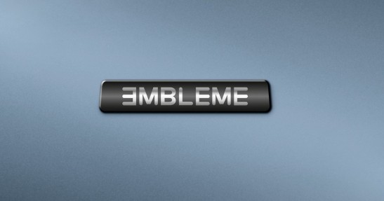 Dacia Dokker Embleme