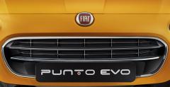 Fiat Punto 2015