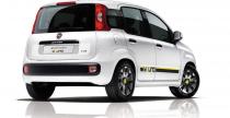 Fiat Punto Young