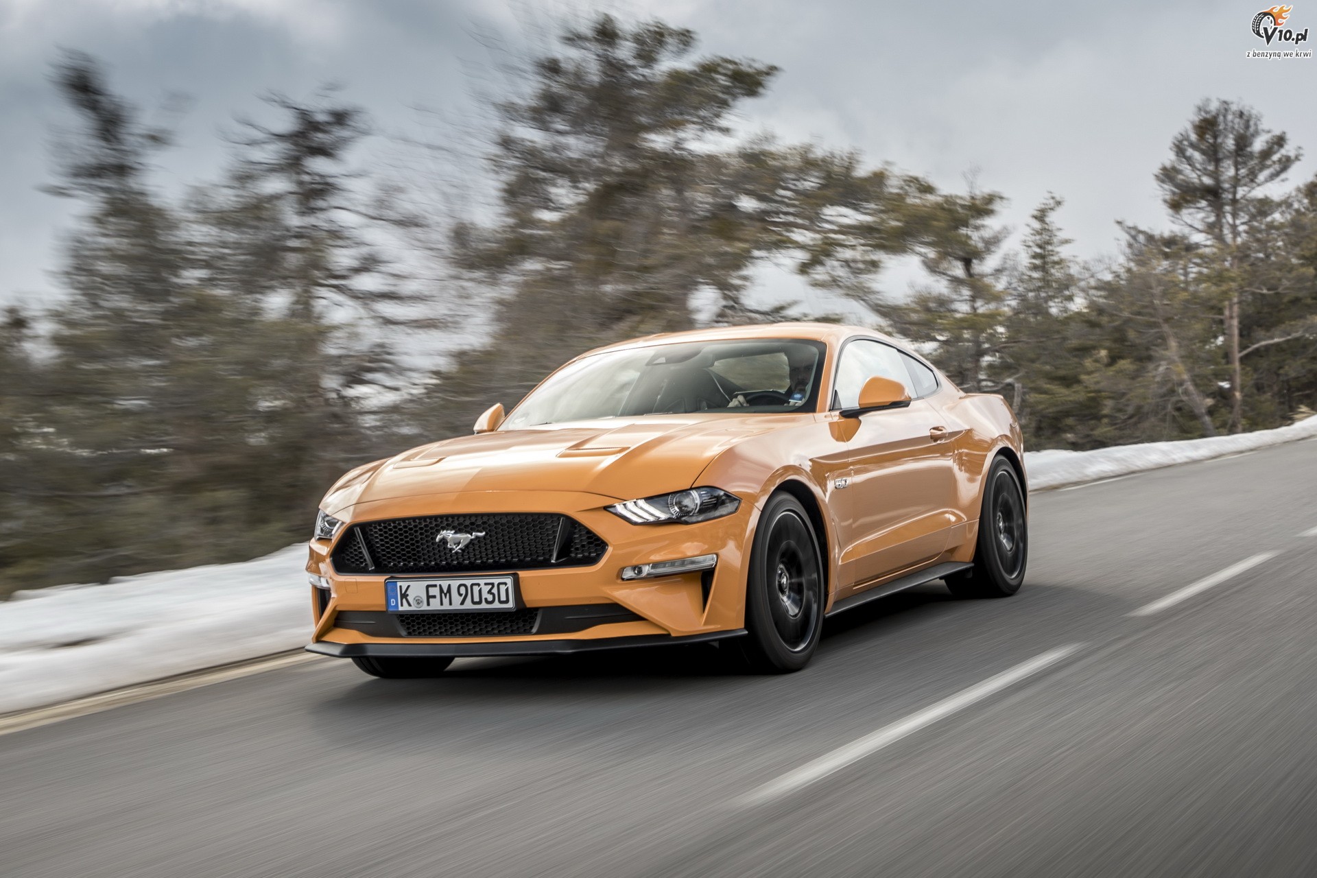 Ford