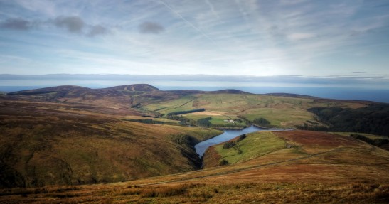 Ford Mustang Bullitt