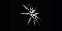 Infiniti FX Black&White