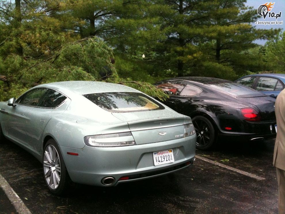 Aston Martin Rapide i Bentley Continental Supersports kontra drzewo