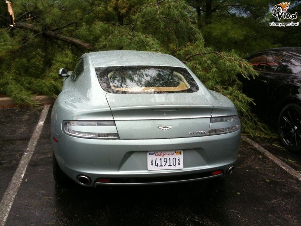 Aston Martin Rapide i Bentley Continental Supersports kontra drzewo