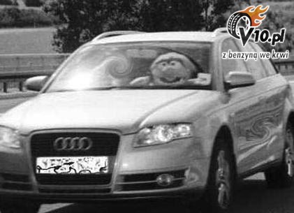 audi_i_muppet.jpg