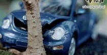 Crash Bonsai