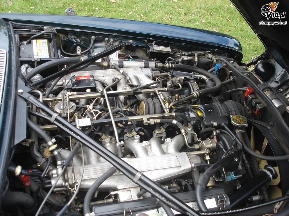 Daimler Double Six LWB Krlowej Elbiety II