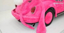 VW