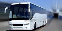 Autobus