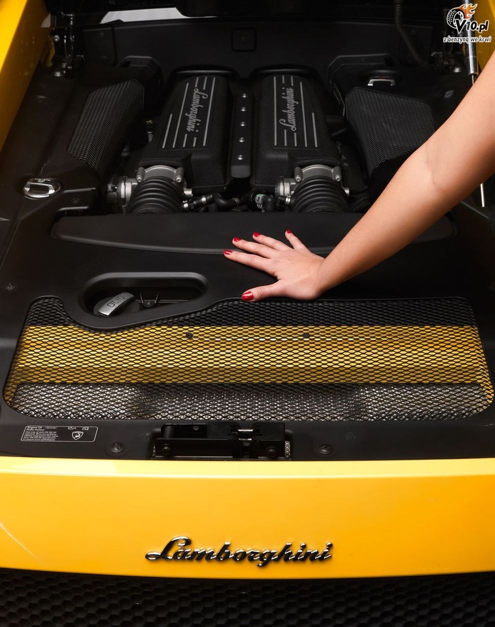 Lamborghini Gallardo i modelki