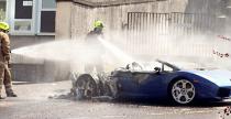 Lamborghini Gallardo ponie