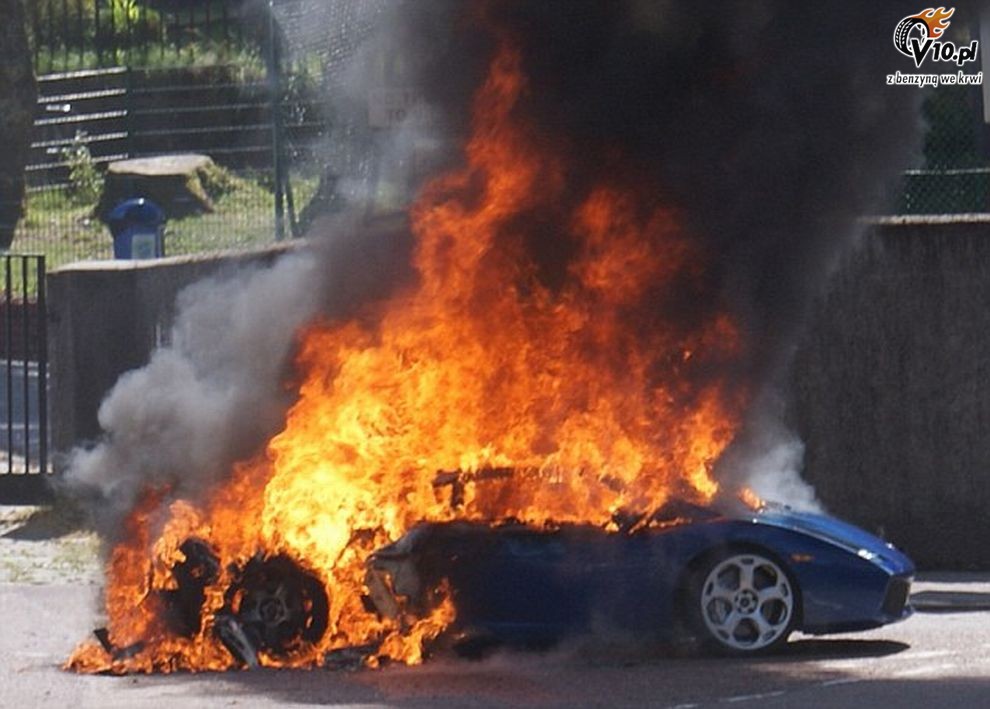 Lamborghini Gallardo ponie