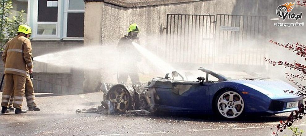 Lamborghini Gallardo ponie