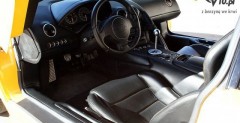 Lamborghini Jenny Jameson