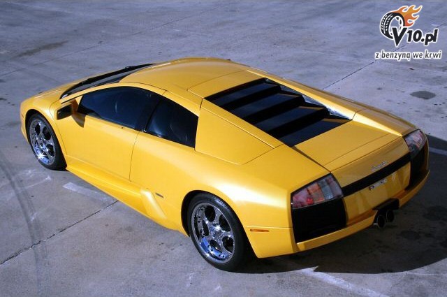 Lamborghini Jenny Jameson