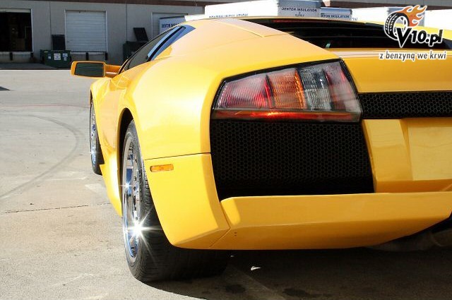 Lamborghini Jenny Jameson