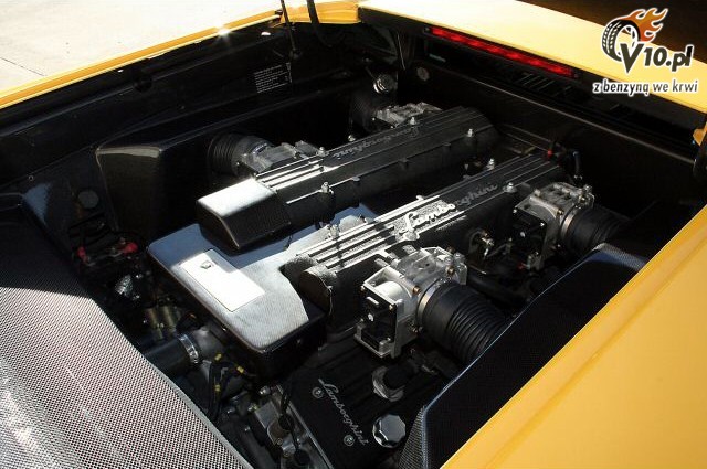 Lamborghini Jenny Jameson