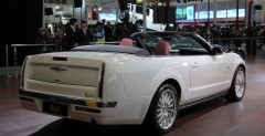 Mitsuoka Galue Cabrio - Beijing Auto Show 2010