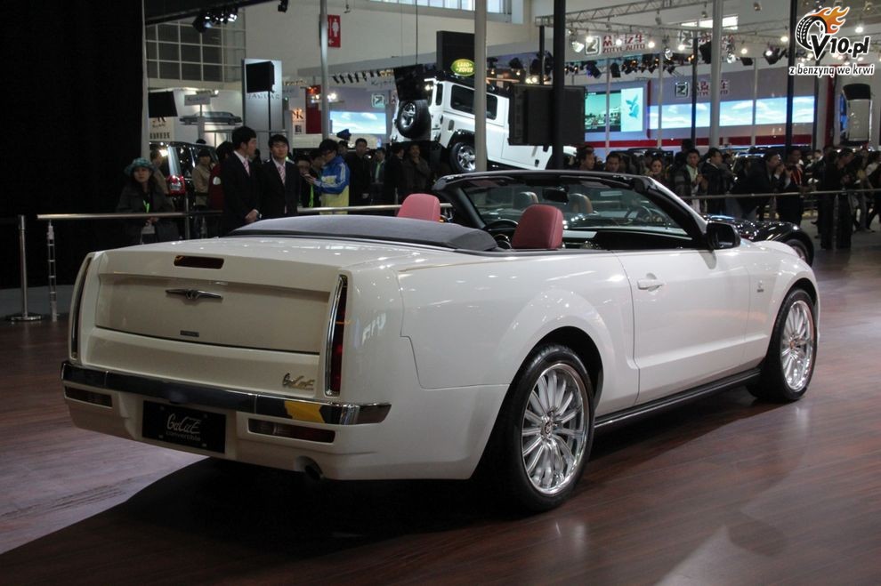 Mitsuoka Galue Cabrio - Beijing Auto Show 2010