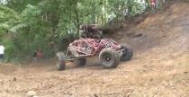 Ostre Buggy