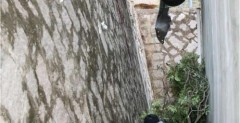 Przeraajcy wypadek