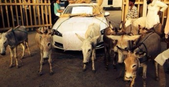 Jaguar XF z oślim napędem, czyli nietypowa akcja protestacyjna...