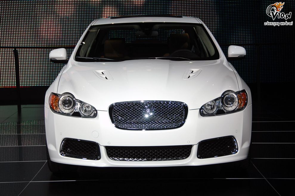 Jaguar
