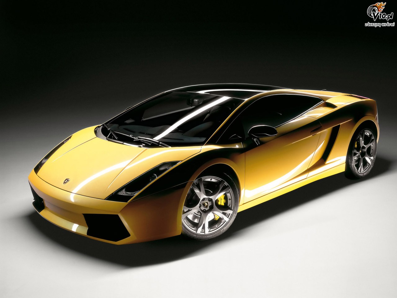 Lamborghini Gallardo Bicolore oraz Tricolore nadchodz