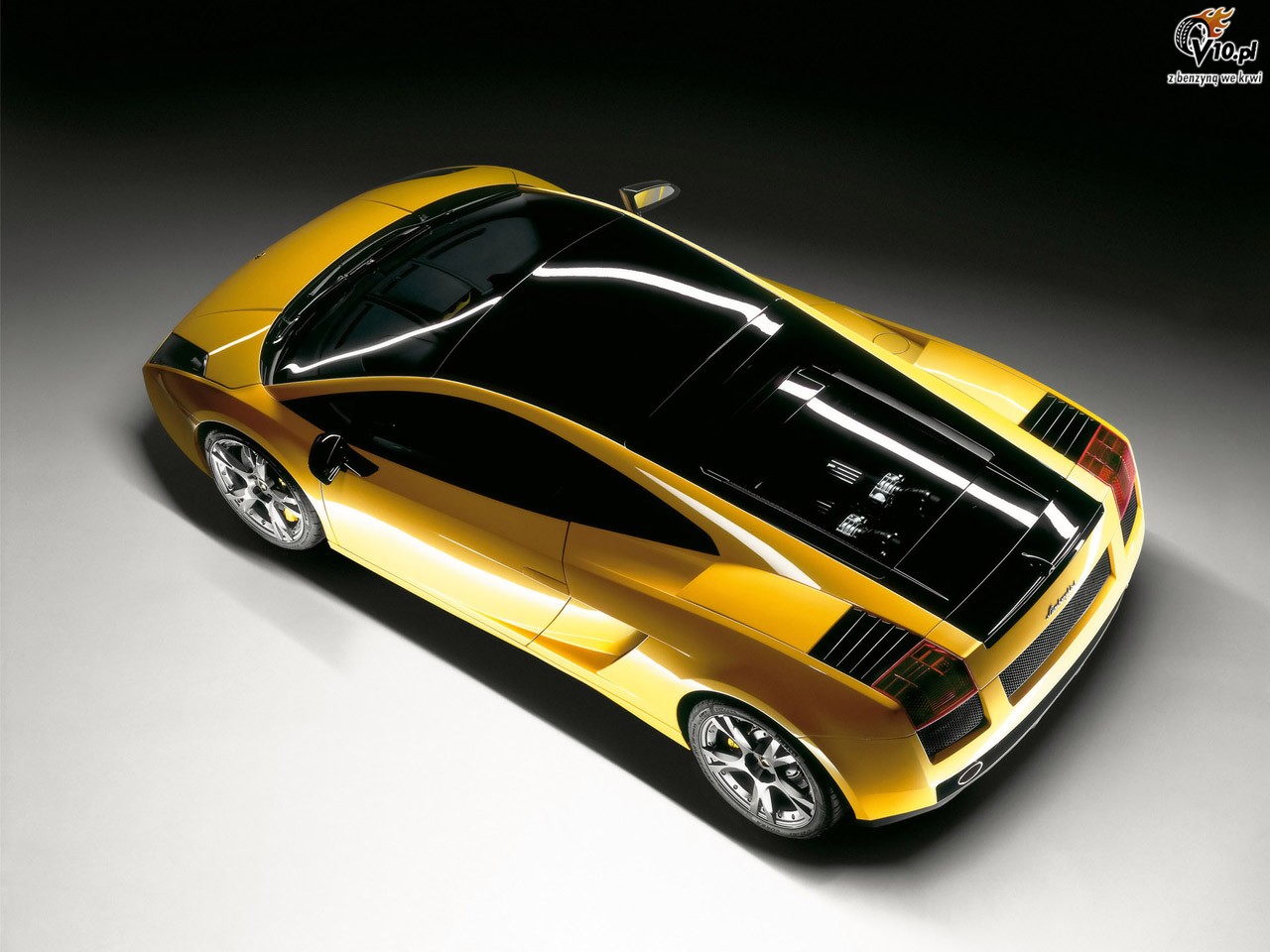 Lamborghini Gallardo Bicolore oraz Tricolore nadchodz