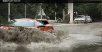 Pywajce Murcielago