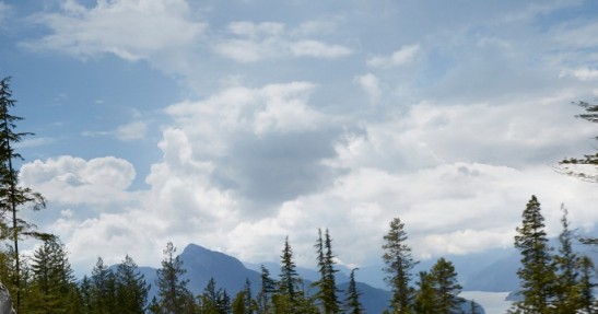 Land Rover Discovery Landmark