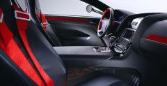 Maybach Exelero
