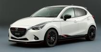 Mazda Demio Racing Concept