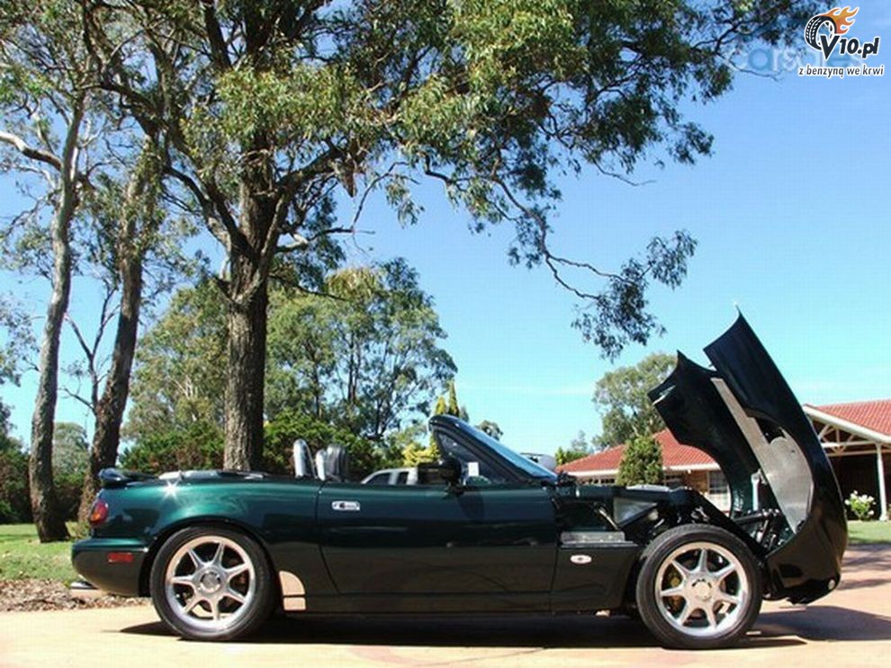 Bullet Roadster